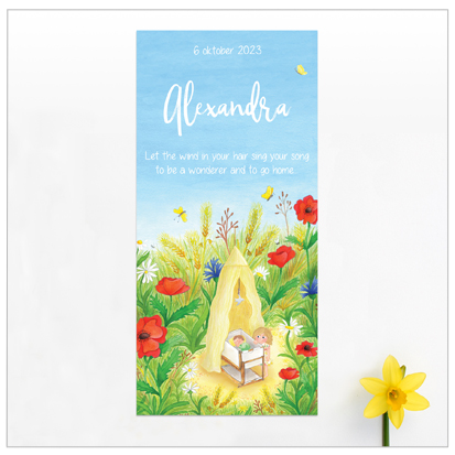 review geboortekaartjes van nynke boelens