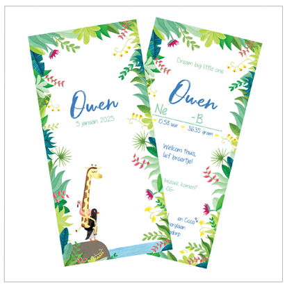 review owen kaartje uit de collectie nynke boelens